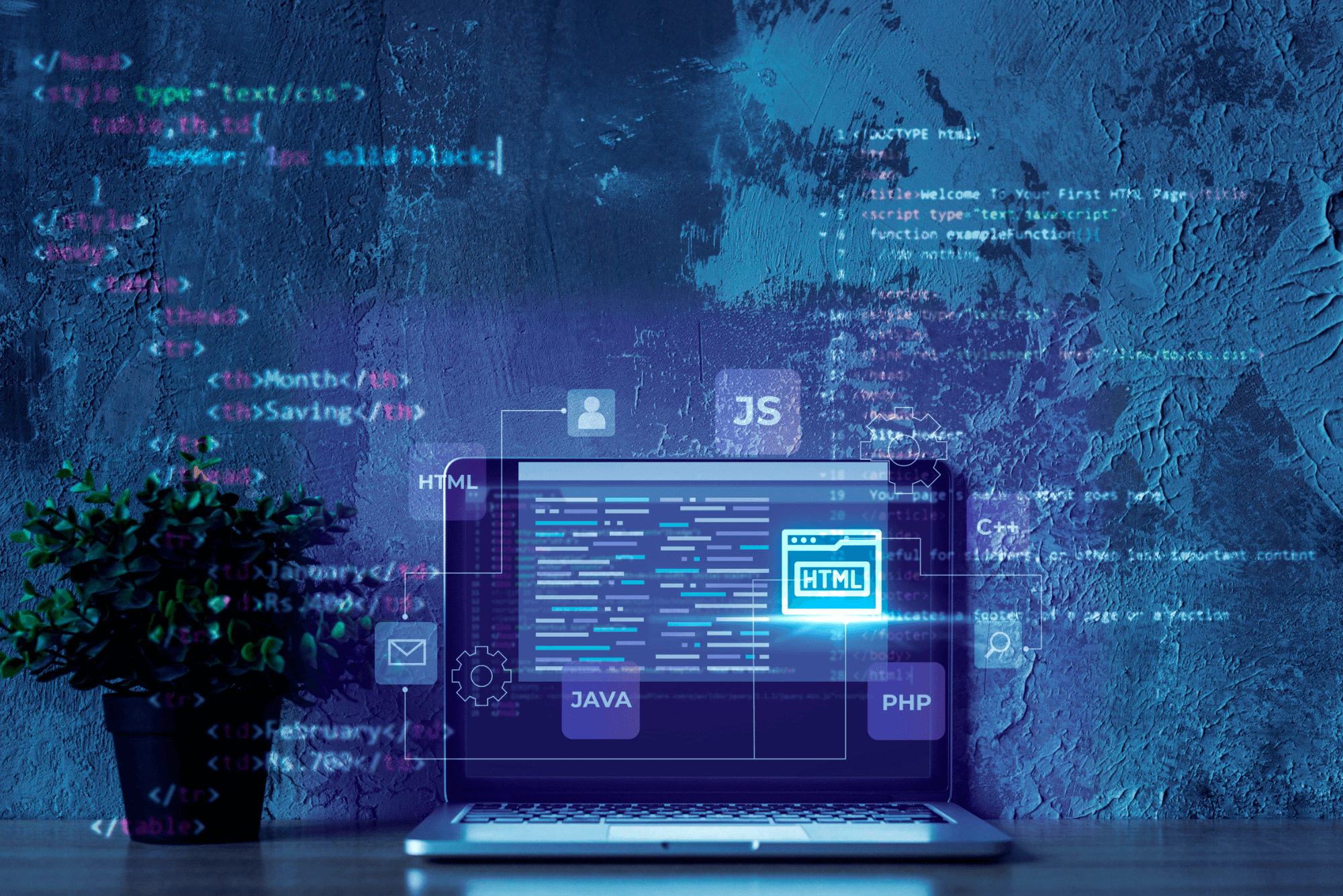 Immagine coding